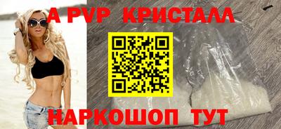 тгк Долгопрудный