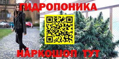 ГАЛЛЮЦИНОГЕННЫЕ ГРИБЫ Дмитров